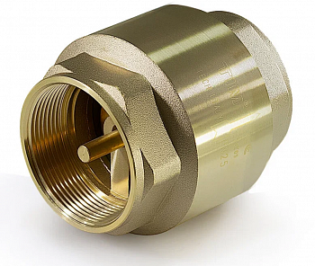 Клапан обратный 2" пружинный (металлическое седло) TIM (стандарт)