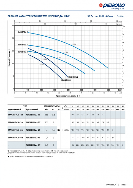 Pedrollo_MAGNIFICA-Grafik