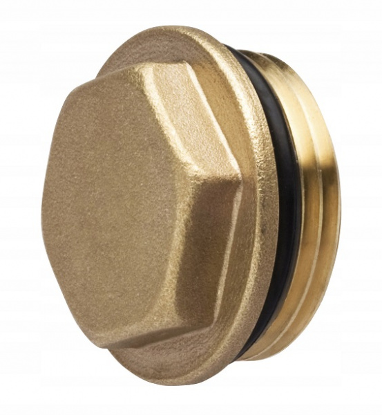 Zagluchka_koll_latun